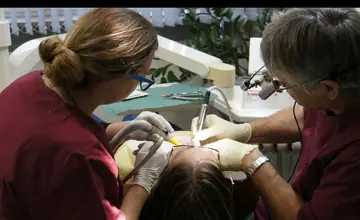 Vorschau implantat-zahn.de